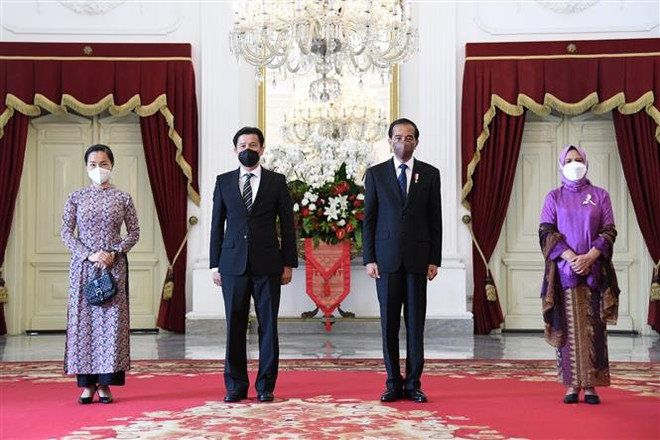 Tân Đại sứ Việt Nam trình Quốc thư lên Tổng thống Indonesia ảnh 1