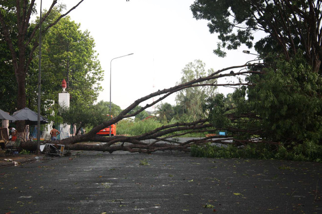 Tây Nguyên, Nam Bộ có thể xảy ra tố lốc, mưa đá về tối và đêm ảnh 1