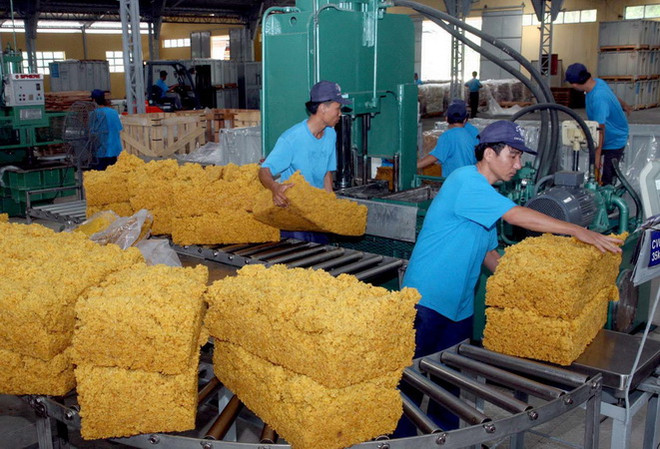 Sơ chế mủ cao su tại Công ty Trách nhiệm hữu hạn một thành viên Cao su Dầu Tiếng (Bình Dương) thuộc Tập đoàn Công nghiệp Cao su Việt Nam. (Ảnh: Đình Huệ/TTXVN) Tập đoàn Công nghiệp cao su Việt Nam sẽ bán hơn 475 triệu cổ phiếu ảnh 1