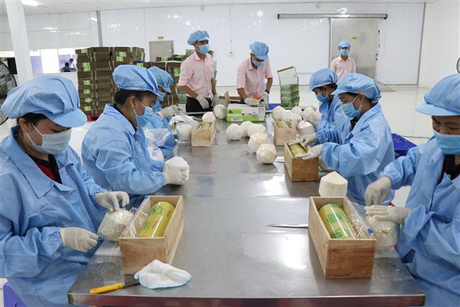 Nhiều tín hiệu lạc quan cho nền kinh tế Việt Nam sau đại dịch ảnh 2