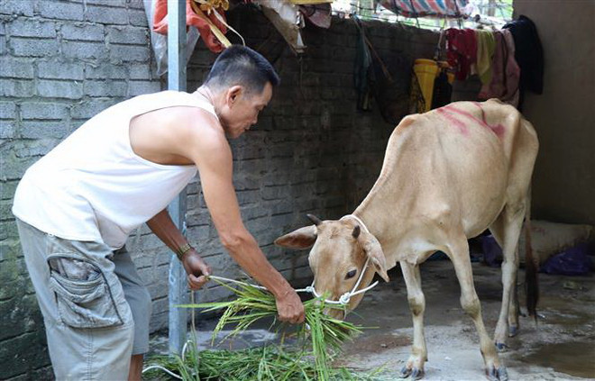 Giảm nghèo phải đúng đối tượng, tránh sự lãng phí, chồng chéo ảnh 2