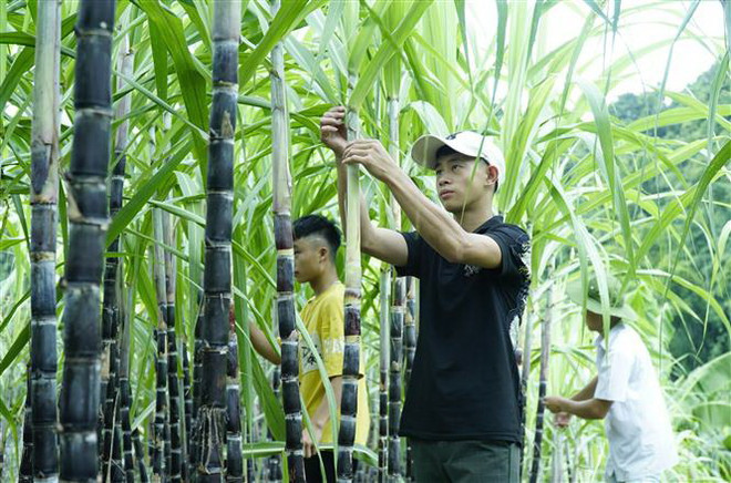 Giảm nghèo phải đúng đối tượng, tránh sự lãng phí, chồng chéo ảnh 1