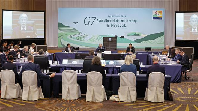 Hội nghị các Bộ trưởng Nông nghiệp Nhóm các nền công nghiệp phát triển hàng đầu thế giới (G7) tại thành phố Miyazaki, Tây Nam Nhật Bản, ngày 22/4. (Ảnh: Kyodo/TTXVN) G7 kêu gọi tuân thủ đầy đủ, mở rộng phạm vi thỏa thuận về ngũ cốc ảnh 1