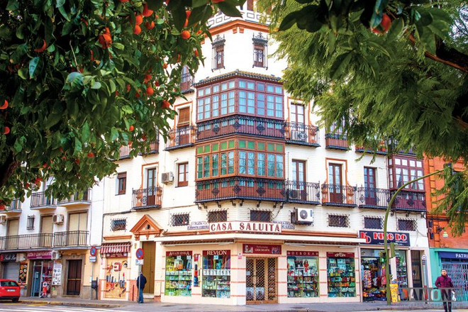 Du ngoạn Andalucia tràn ngập sắc màu vào mùa cam chín ảnh 2