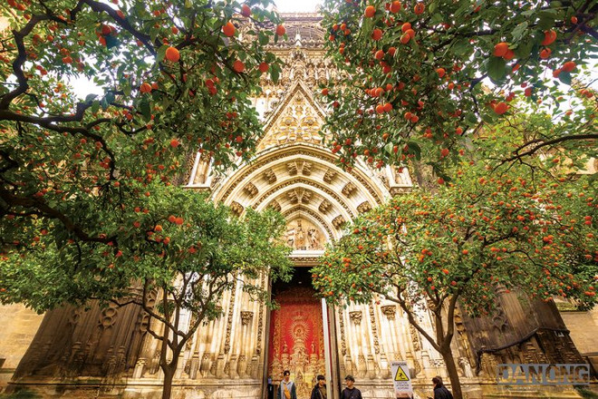 Du ngoạn Andalucia tràn ngập sắc màu vào mùa cam chín ảnh 4