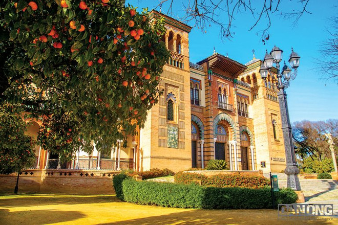 Du ngoạn Andalucia tràn ngập sắc màu vào mùa cam chín ảnh 5