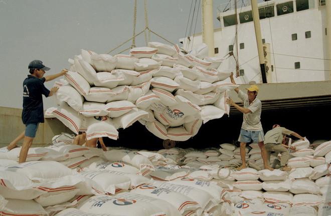 Bốc xếp gạo xuất khẩu tại cảng Sài Gòn. (Ảnh: Đình Huệ/TTXVN) FAO dự báo Việt Nam thuộc tốp 5 nước có sản lượng gạo lớn nhất 2017 ảnh 1