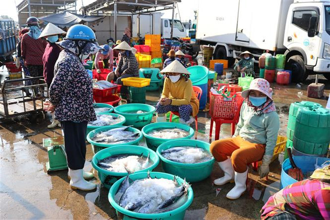 Khắc phục “thẻ vàng” IUU: EC dự kiến kiểm tra trực tiếp vào quý 1/2022 ảnh 2
