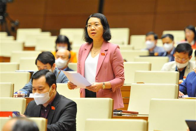 Đại biểu Quốc hội tỉnh Nam Định Mai Thị Phương Hoa phát biểu ý kiến. (Ảnh: Minh Đức/TTXVN) Quy hoạch đất đai phải hạn chế tác động tiêu cực đến môi trường ảnh 3