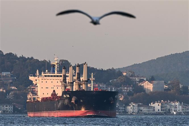 Tàu chở ngũ cốc của Ukraine. (Ảnh: AFP/TTXVN) Ukraine vận chuyển hơn 9 triệu tấn ngũ cốc qua cảng của Romania ảnh 1