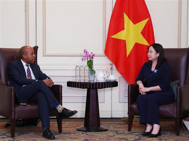 Việt Nam-Nam Phi còn nhiều tiềm năng hợp tác kinh tế, thương mại ảnh 1