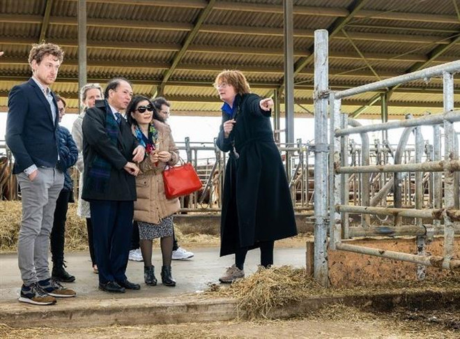 Đại sứ Phạm Việt Anh thăm một trang trại tại Thành phố Oss thuộc tỉnh Bắc Brabant (Hà Lan). (Ảnh: TTXVN phát) Tỉnh Bắc Brabant của Hà Lan muốn hợp tác với địa phương Việt Nam ảnh 1