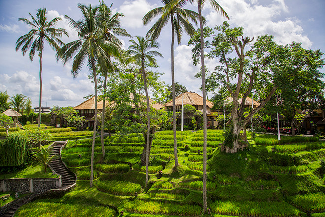 Thủ sẵn những bí kíp này trước khi muốn “ăn, cầu nguyện, yêu” tại Bali ảnh 6