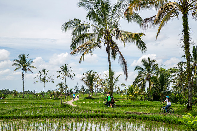 Thủ sẵn những bí kíp này trước khi muốn “ăn, cầu nguyện, yêu” tại Bali ảnh 4