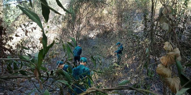 Nhiều lực lượng dồn sức dập lửa vụ cháy rừng phòng hộ Bình Định ảnh 1