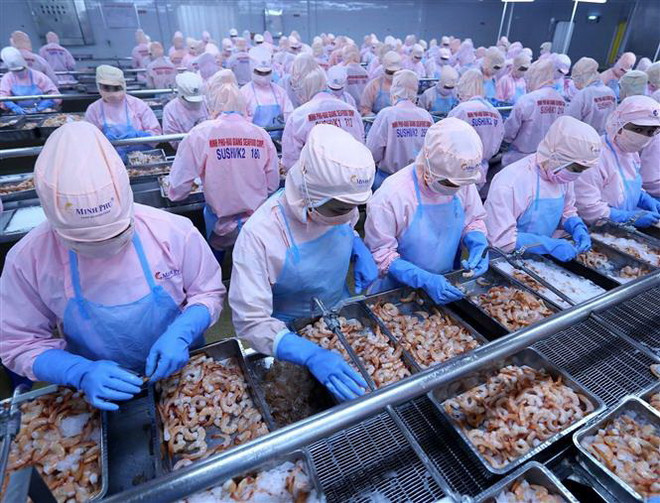 Giới chuyên gia đánh giá cao sự bùng nổ kinh tế của Việt Nam ảnh 1