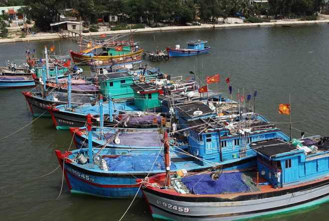 Tiền Giang: Điều tra vụ hỏa hoạn thiêu rụi 5 chiếc thuyền ảnh 1