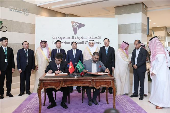 Đột phá mở đường cho hợp tác du lịch Việt Nam và Saudi Arabia ảnh 1