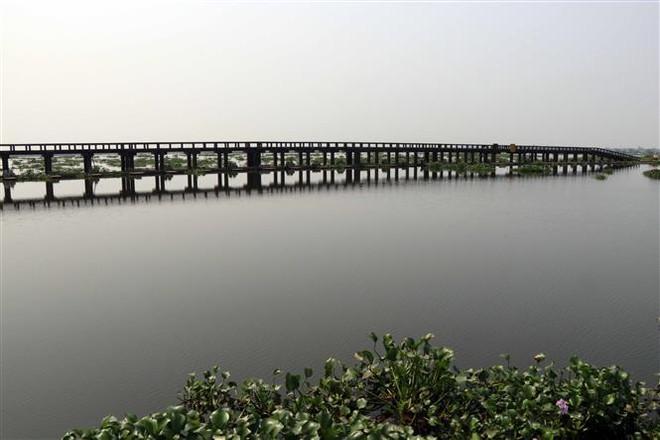 Thừa Thiên-Huế nỗ lực khôi phục khu tràm chim ở cửa sông Ô Lâu ảnh 1