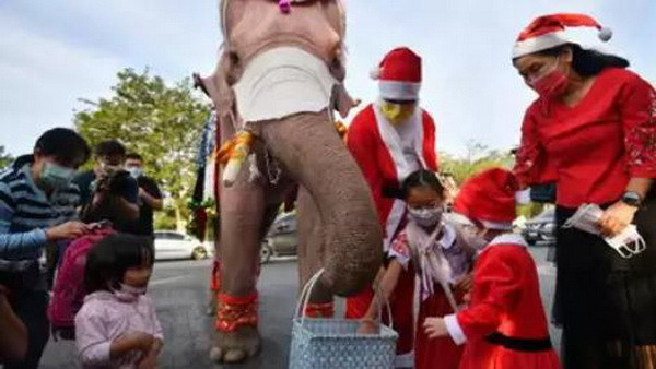 Độc đáo hình ảnh chú voi phát quà Giáng sinh tại Thái Lan ảnh 1