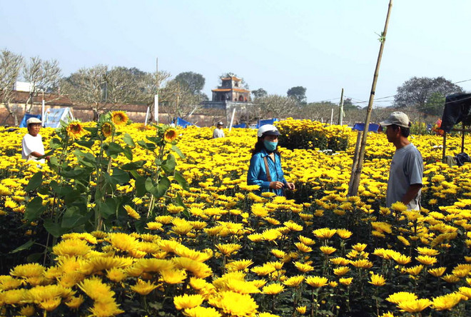 Thời tiết ngày nắng đẹp vẫn được duy trì trên cả ba miền ảnh 1