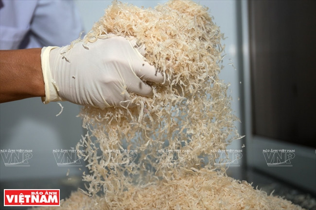 Thưởng thức vị chua dịu ngọt, ăn mãi không chán của nem Thủ Đức ảnh 3