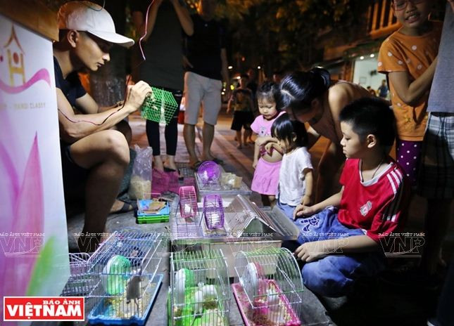 Phố đi bộ Trịnh Công Sơn - sức hút của văn hóa lãng mạn ảnh 13