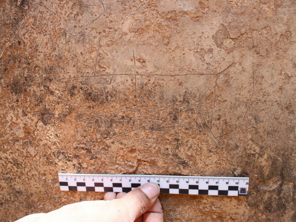 Các nhà khảo cổ Israel phát hiện nhiều hình chạm khắc 2.000 năm tuổi ảnh 1