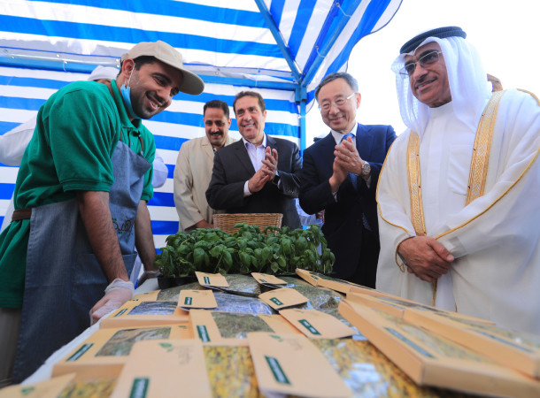 Mô hình trang trại thông minh của Hàn Quốc xây dựng trên sa mạc ảnh 1