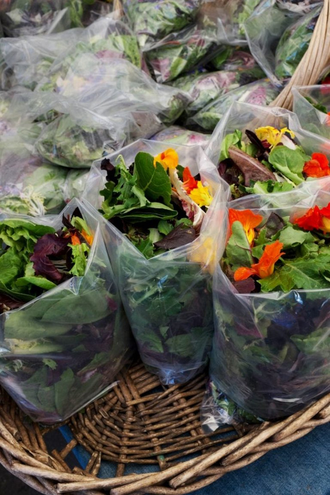 Mách nàng công sở mẹo làm salad ngon đúng chuẩn nhà hàng ảnh 1