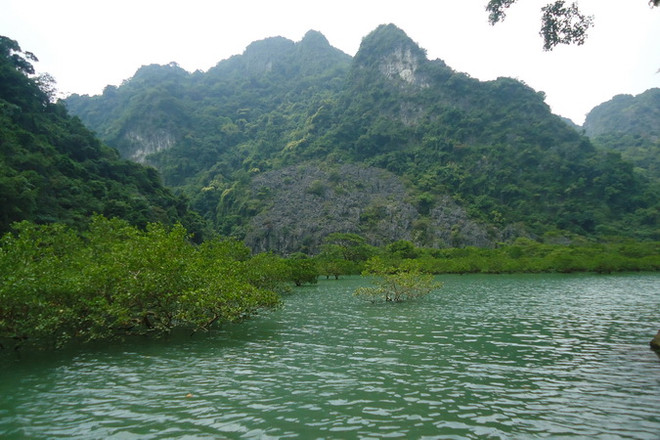 Vườn Quốc gia Bái Tử Long là vườn di sản thứ 38 của ASEAN ảnh 1