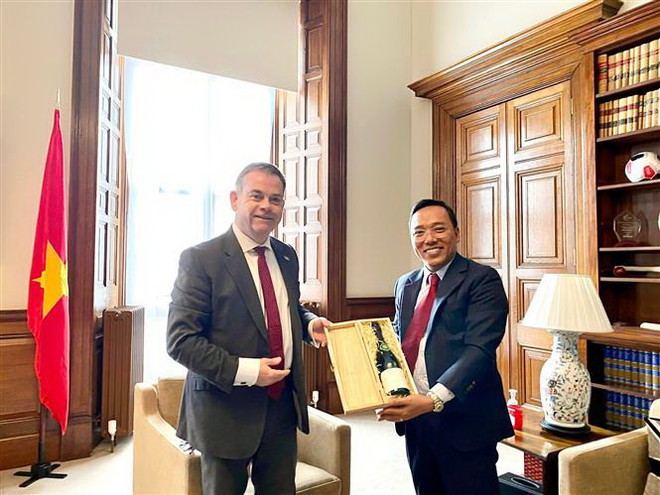 Quốc vụ khanh Anh vui mừng trước bước phát triển của quan hệ Việt-Anh ảnh 1