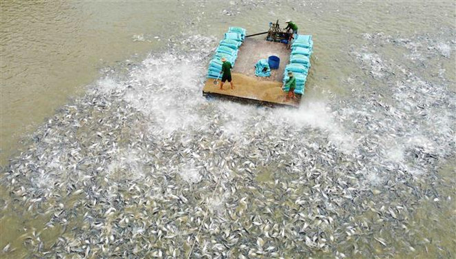 Chuyển đổi tư duy kinh tế nông nghiệp: Để nông dân là chủ thể ảnh 1