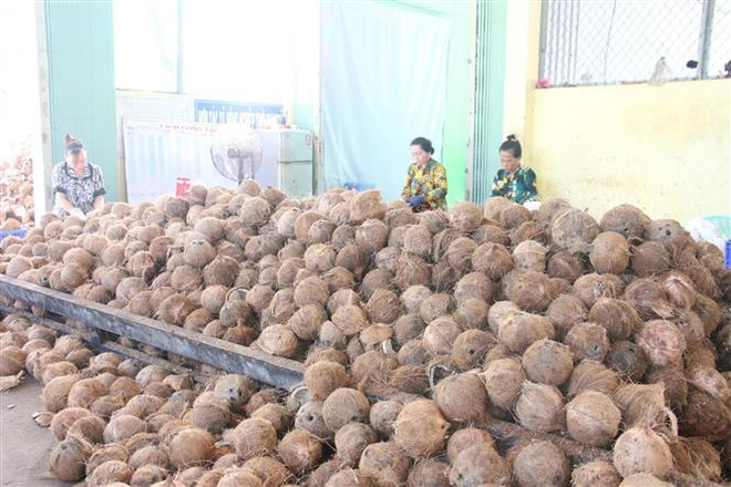 Chuyển đổi tư duy kinh tế nông nghiệp: Để nông dân là chủ thể ảnh 2