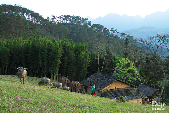 Cẩm nang và kinh nghiệm du lịch Hà Giang giữa mùa "đá tai mèo nở hoa" ảnh 12