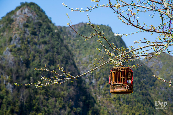 Cẩm nang và kinh nghiệm du lịch Hà Giang giữa mùa "đá tai mèo nở hoa" ảnh 4
