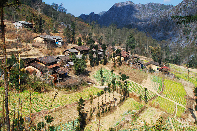 Cẩm nang và kinh nghiệm du lịch Hà Giang giữa mùa "đá tai mèo nở hoa" ảnh 29