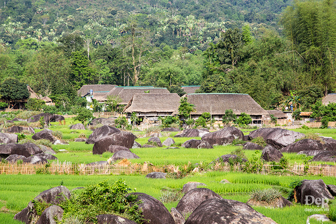 Cẩm nang và kinh nghiệm du lịch Hà Giang giữa mùa "đá tai mèo nở hoa" ảnh 10