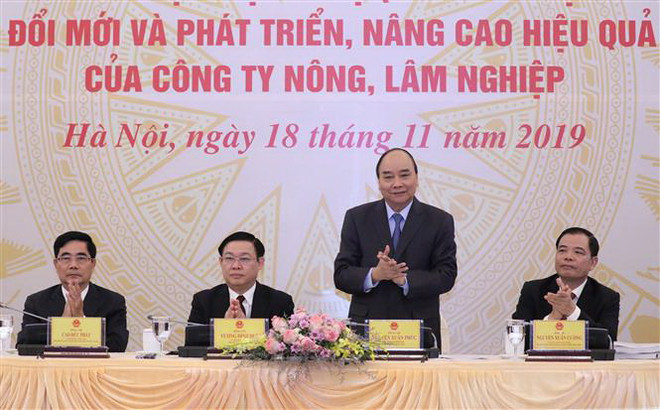 Thủ tướng: Đất đai cần được giao cho chủ thể trực tiếp quản lý ảnh 1