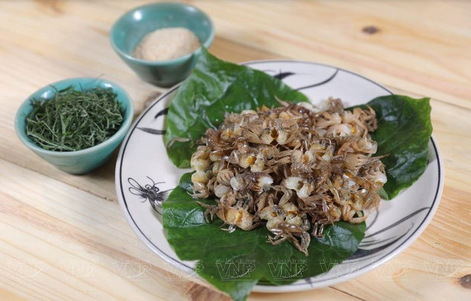 Cua đồng rang muối - món ăn vừa ngon vừa là bài thuốc chữa bệnh ảnh 2