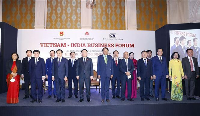 Việt Nam-Ấn Độ còn nhiều dư địa để hợp tác kinh tế, thương mại ảnh 1