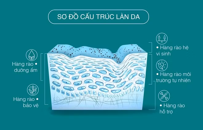 3 bước sở hữu làn da sạch khỏe đơn giản một cách không tưởng ảnh 1