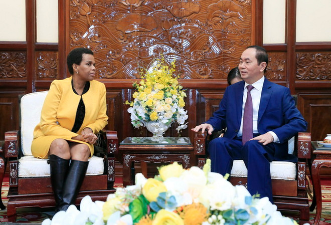 Tiềm năng hợp tác giữa Việt Nam và Nam Phi còn rất lớn ảnh 1