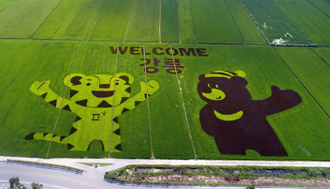 Tổng thống Hàn Quốc cam kết đảm bảo an toàn cho Olympic mùa Đông 2018 ảnh 1