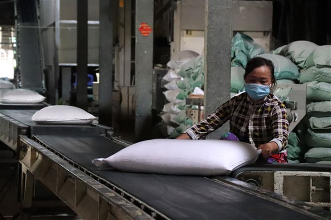 Tổng khối lượng gạo xuất khẩu trong 10 tháng vượt 6 triệu tấn ảnh 1