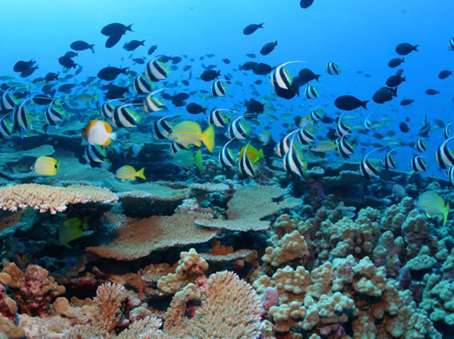 Israel sắp khai trương công viên nước đầu tiên tại Jerusalem ảnh 1