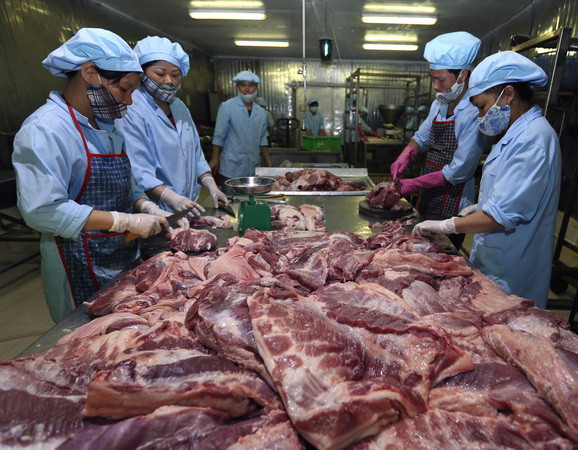 Trung Quốc chưa đồng ý nhập khẩu thịt lợn của Việt Nam ảnh 1