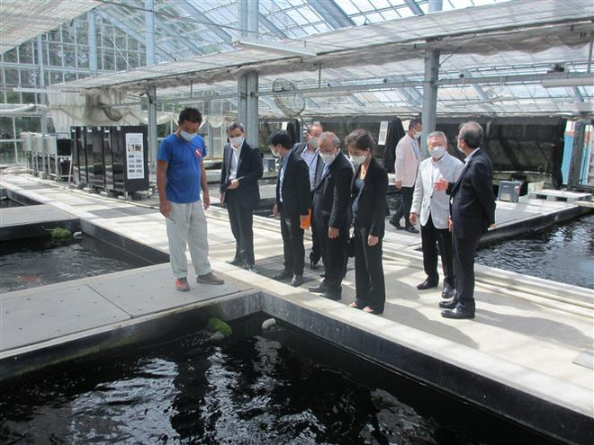 Thúc đẩy hợp tác kinh tế giữa các địa phương với tỉnh Niigata của Nhật ảnh 2