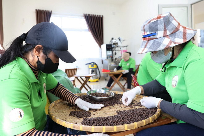 Hoạt động sản xuất tại Công ty Êđê Café. (Ảnh: Tuấn Anh/TTXVN) ttxvn-chang_trai_e_de3.jpg