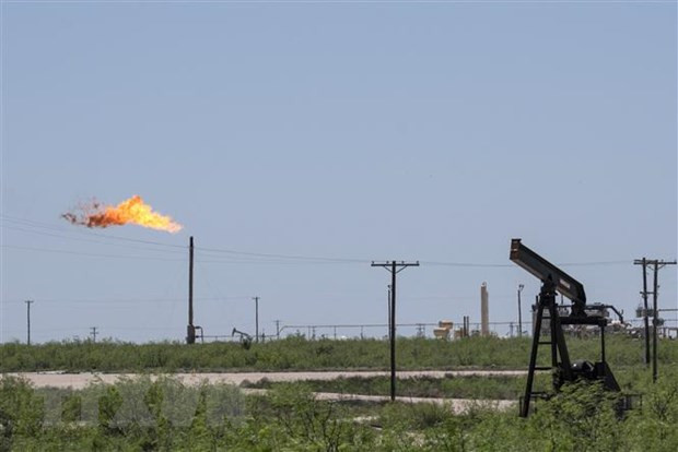 Mức chi trả cổ tức doanh nghiệp trên toàn cầu tăng cao kỷ lục ảnh 1